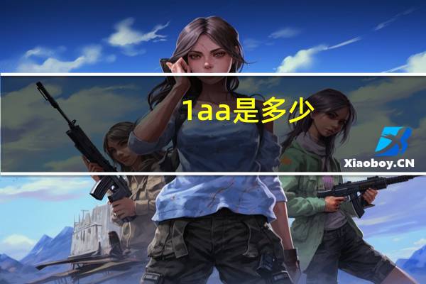 1aa是多少
