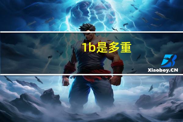1b是多重