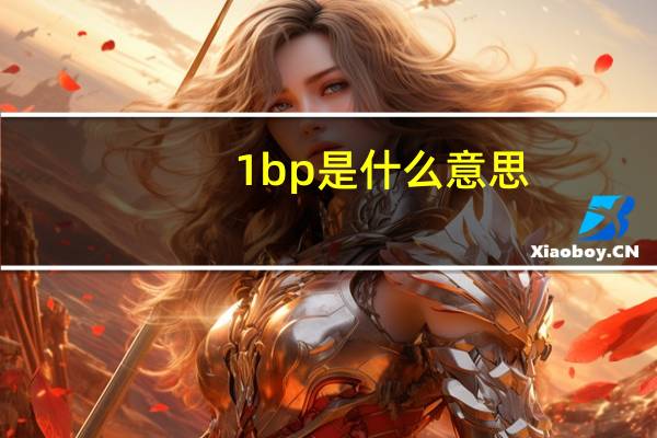 1bp是什么意思