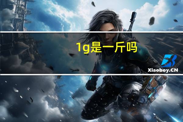 1g是一斤吗
