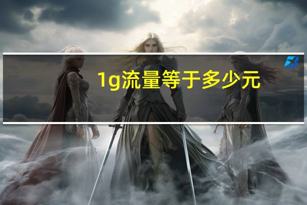 1g流量等于多少元