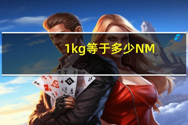 1kg等于多少NM