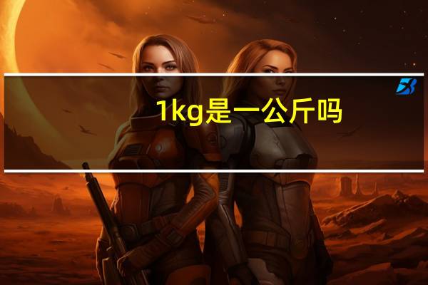 1kg是一公斤吗