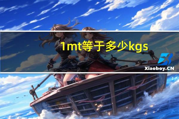 1mt等于多少kgs
