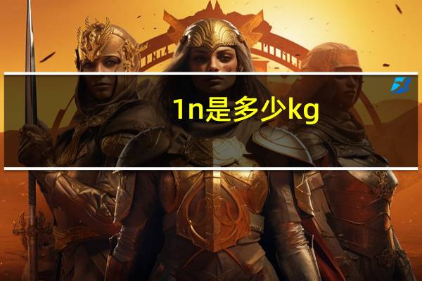 1n是多少kg