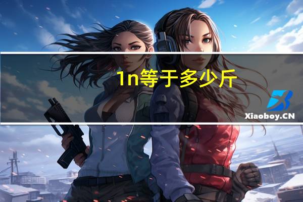 1n等于多少斤
