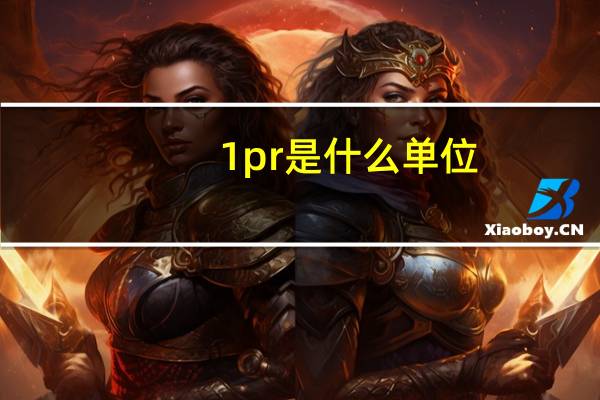 1pr是什么单位
