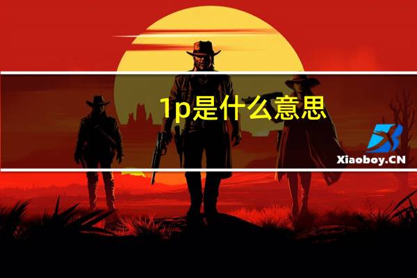 1p是什么意思
