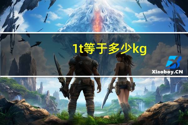 1t等于多少kg