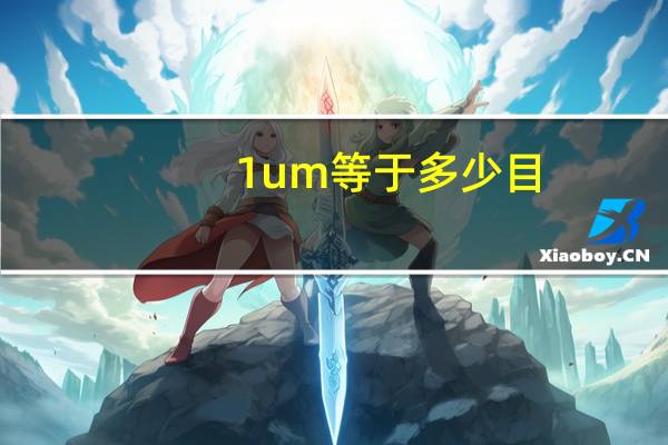 1um等于多少目