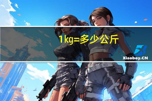 1㎏=多少公斤