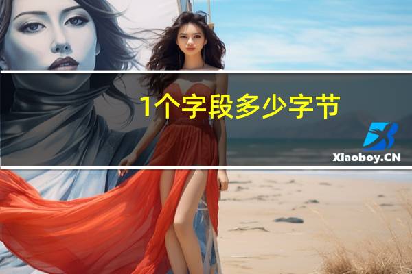 1个字段多少字节