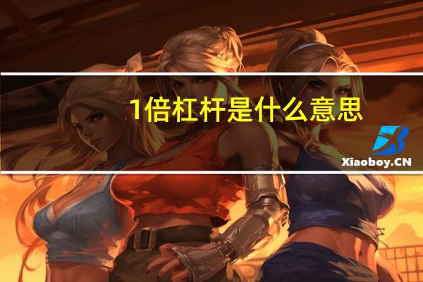 1倍杠杆是什么意思