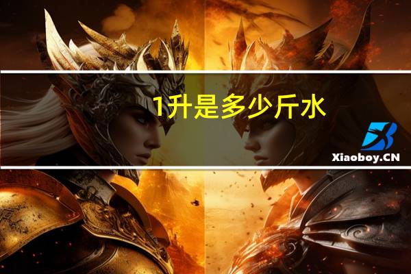 1升是多少斤水