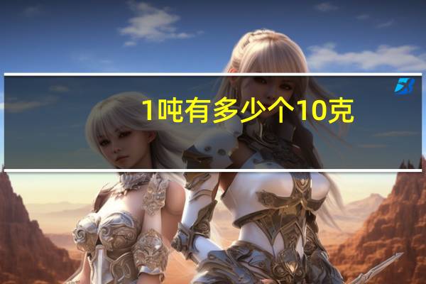 1吨有多少个10克
