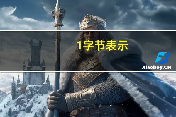 1字节表示