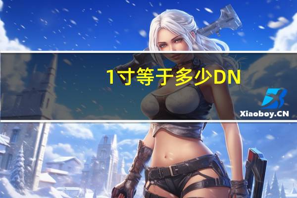 1寸等于多少DN