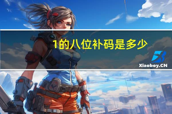 1的八位补码是多少