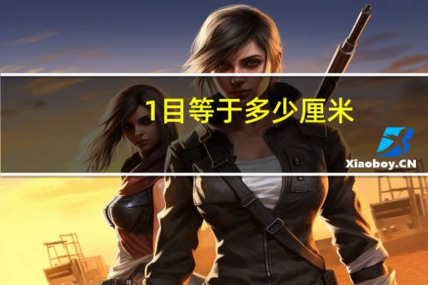 1目等于多少厘米