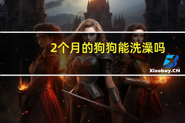 2个月的狗狗能洗澡吗