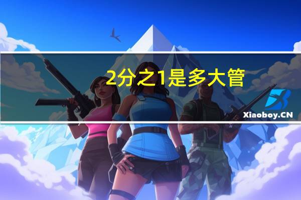 2分之1是多大管