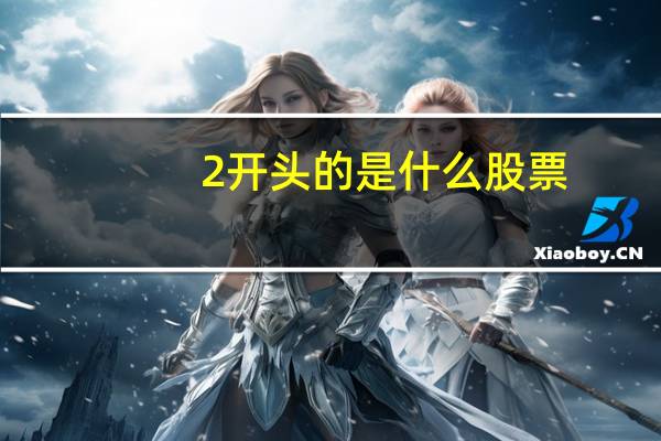 2开头的是什么股票