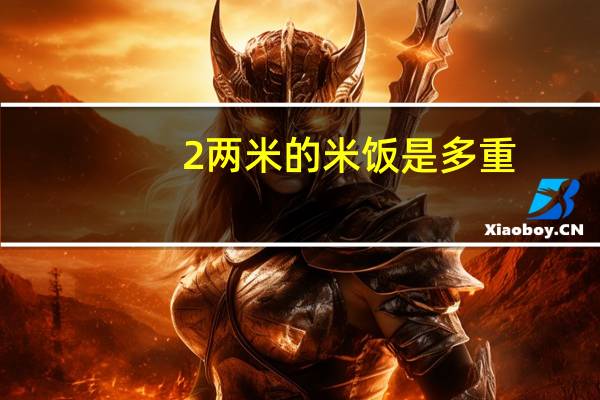 2两米的米饭是多重