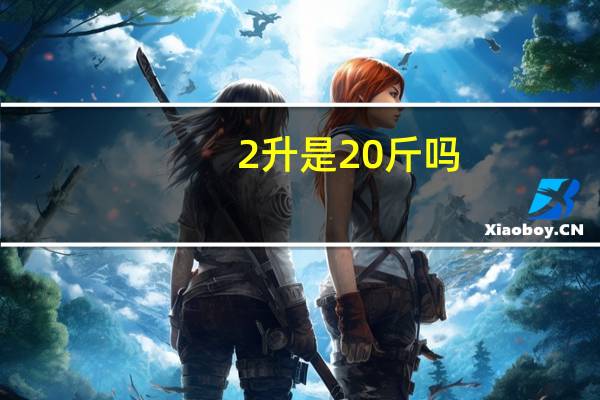 2升是20斤吗