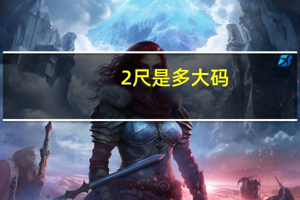 2尺是多大码