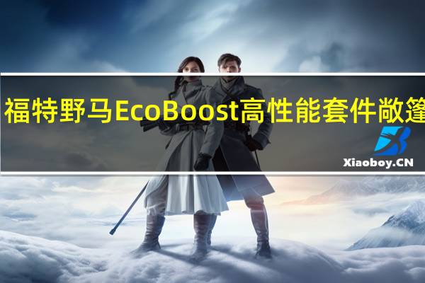 2月16日福特野马EcoBoost高性能套件敞篷车回顾和试驾