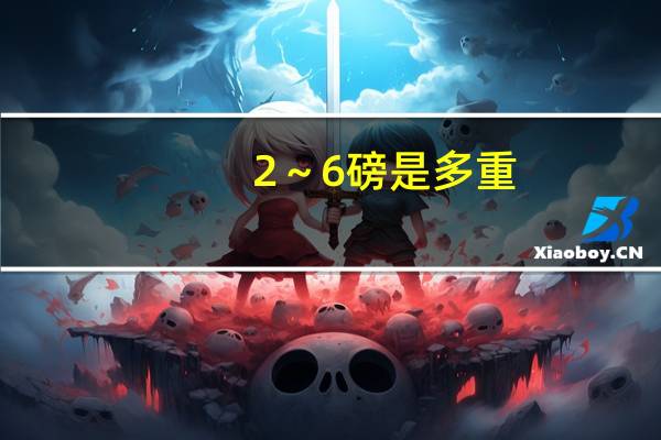 2~6磅是多重