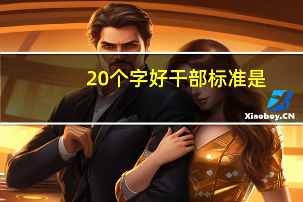 20个字好干部标准是（20字好干部标准是什么）
