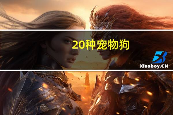 20种宠物狗