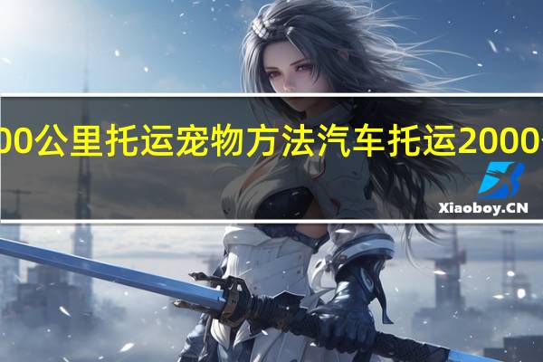 2000公里托运宠物方法 汽车托运2000公里价格