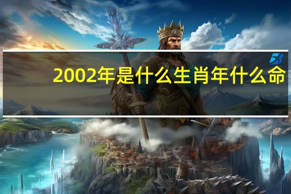 2002年是什么生肖年什么命（2002年是什么生肖年）