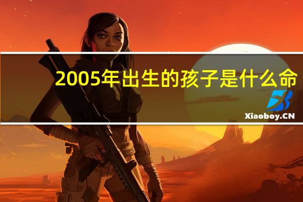 2005年出生的孩子是什么命