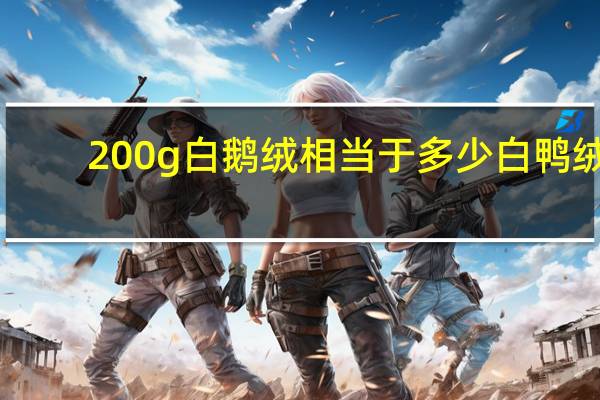 200g白鹅绒相当于多少白鸭绒