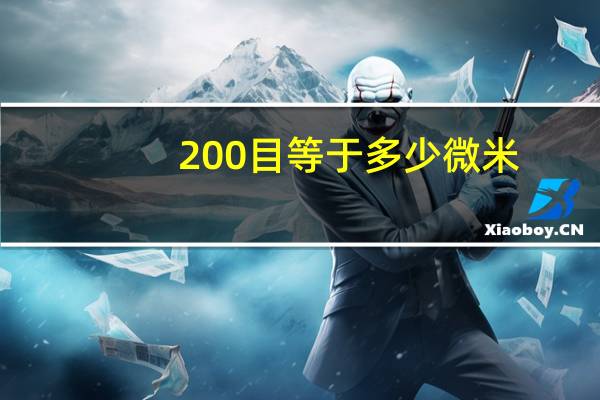 200目等于多少微米
