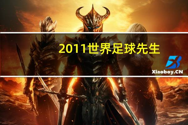 2011世界足球先生（2010世界足球先生）
