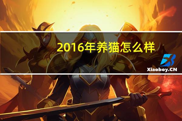 2016年养猫怎么样
