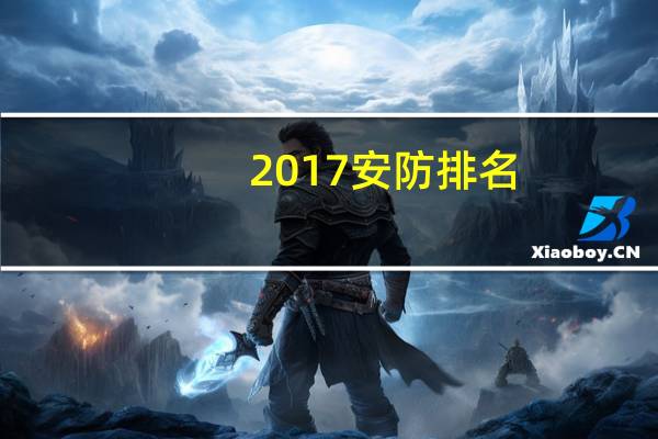 2017安防排名