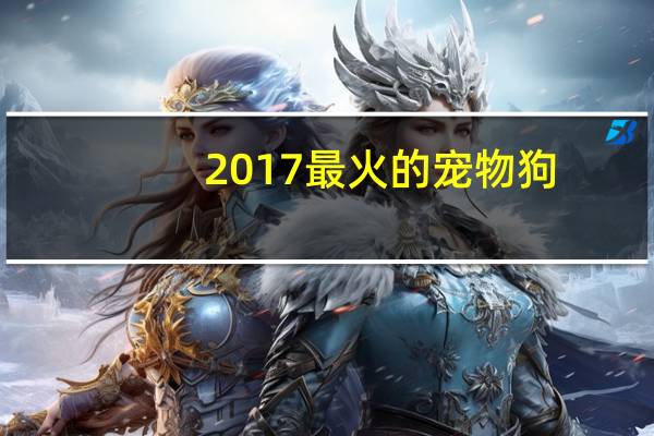 2017最火的宠物狗