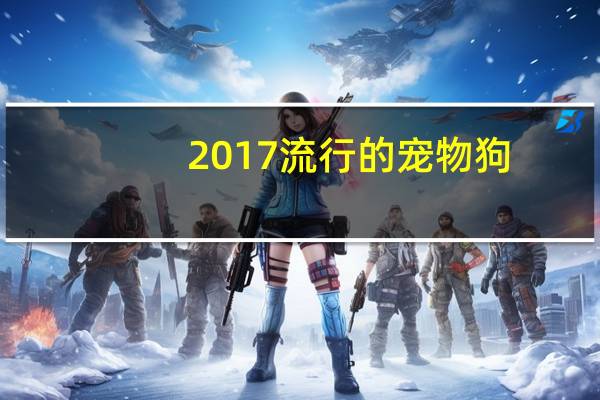 2017流行的宠物狗
