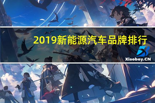 2019新能源汽车品牌排行