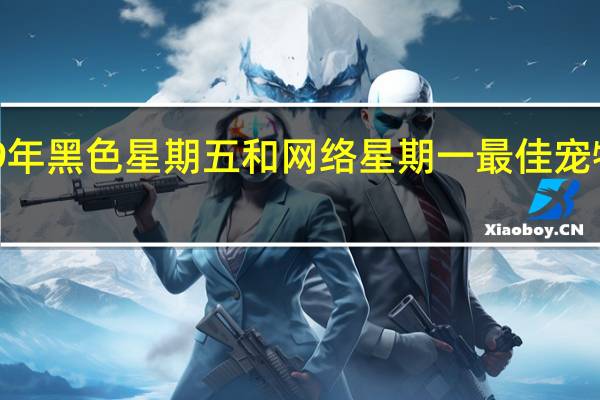 2019年黑色星期五和网络星期一最佳宠物住房交易