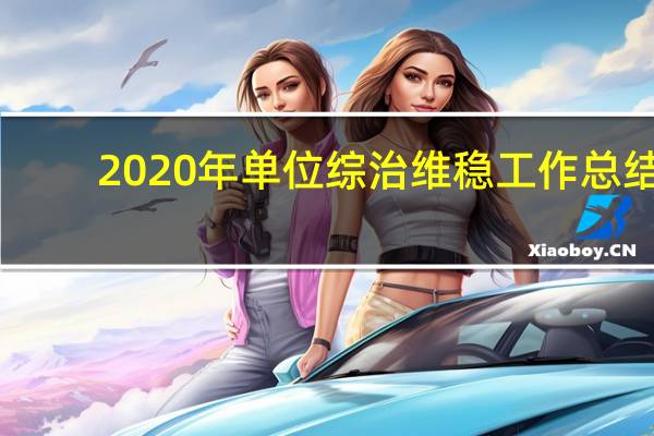 2020年单位综治维稳工作总结（单位综治维稳工作总结）