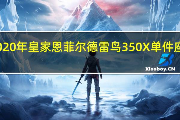 2020年皇家恩菲尔德雷鸟350X单件座椅侦察