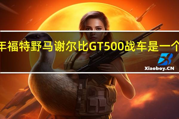 2020年福特野马谢尔比GT500战车是一个卑鄙的机器