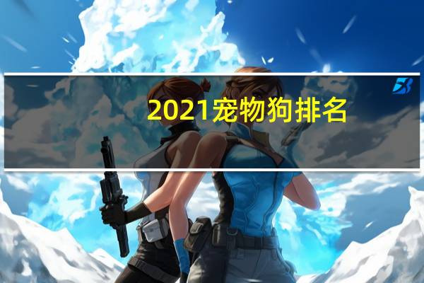 2021宠物狗排名
