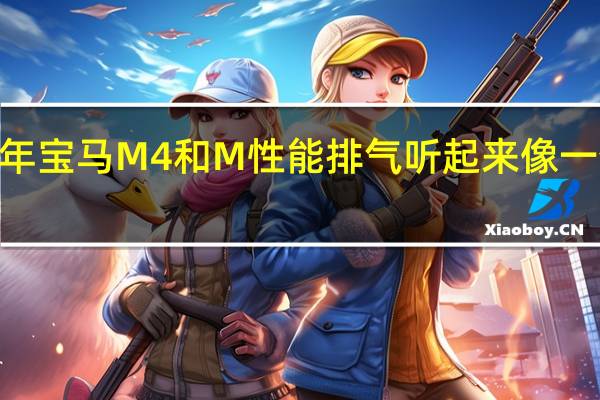 2021年宝马M4和M性能排气听起来像一个公路野兽